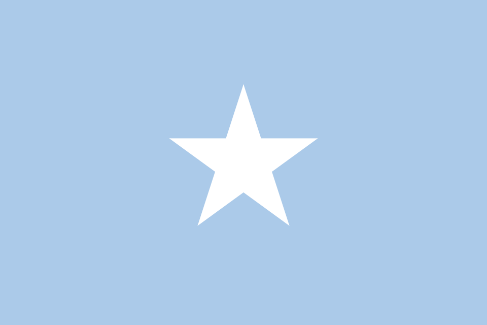 Le drapeau de l'État du Somaliland, brandi durant les cinq jours de souveraineté pleine, du 26 juin au 1er juillet 1960.